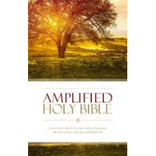 Amplified bible - Hard Cover